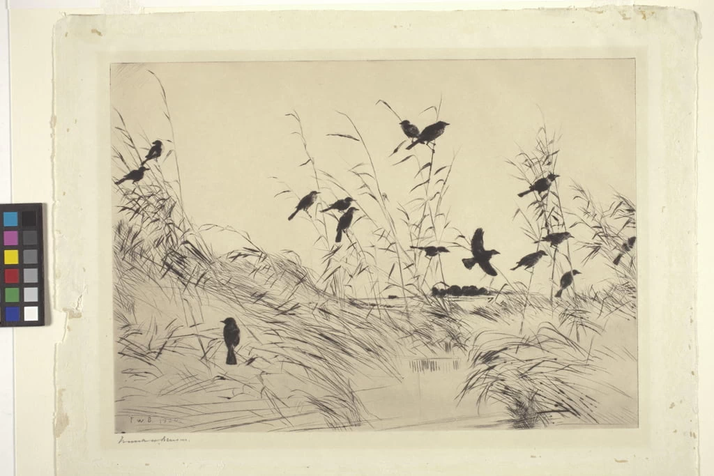 Merli e giunchi - Indianapolis Museum of Art at Newfields